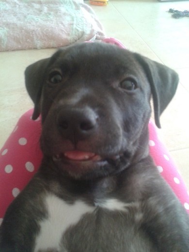 2 meses 2 meses